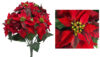 Ponsetia mini roja 5 flores - 45cm - Imagen 2