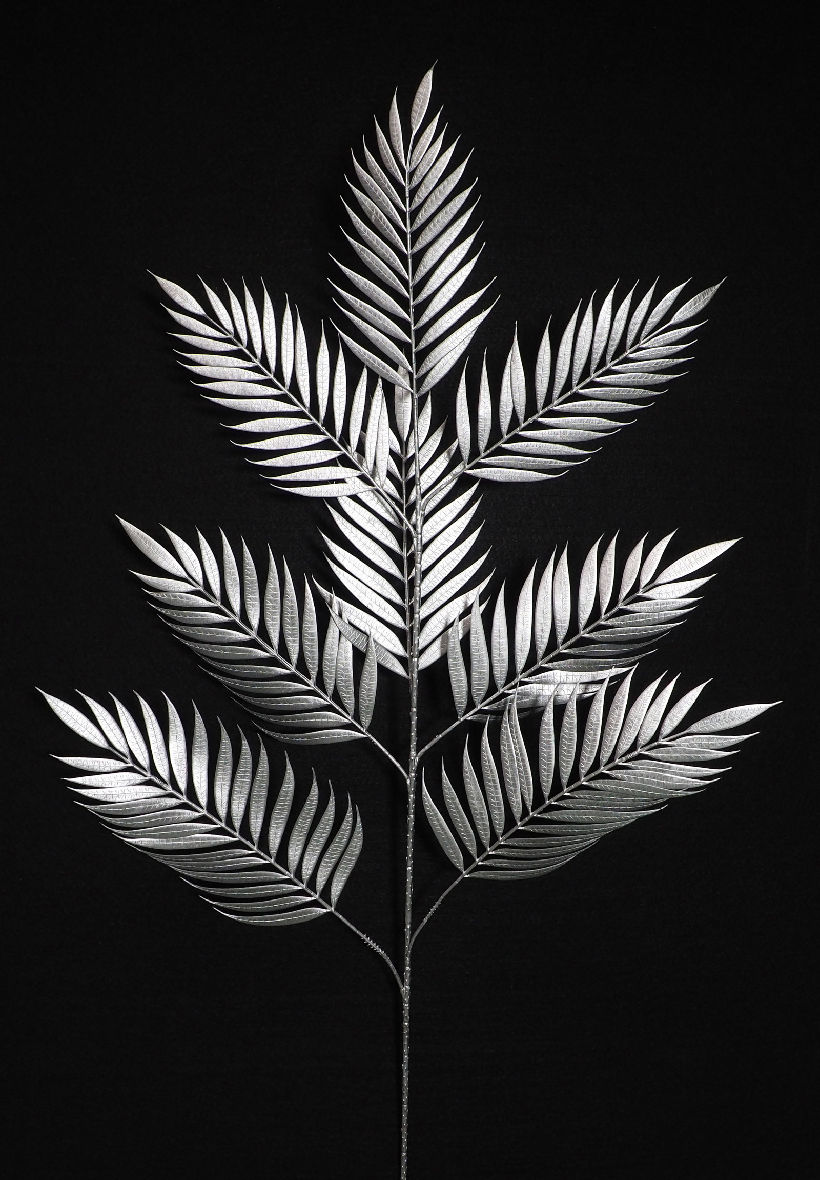 8604325.jpg Areca plateada - 110cm - Imagen 1