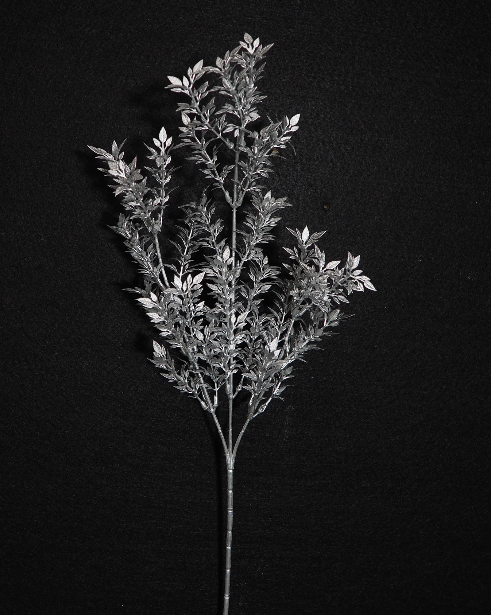 8604525.jpg Té plata - 64cm - Imagen 1