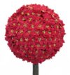 Arbol bola ponsetia roja - Ø80x180cm - Imagen 2