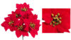 Ponsetia Velvet roja 6 flores - 30cm - Imagen 2